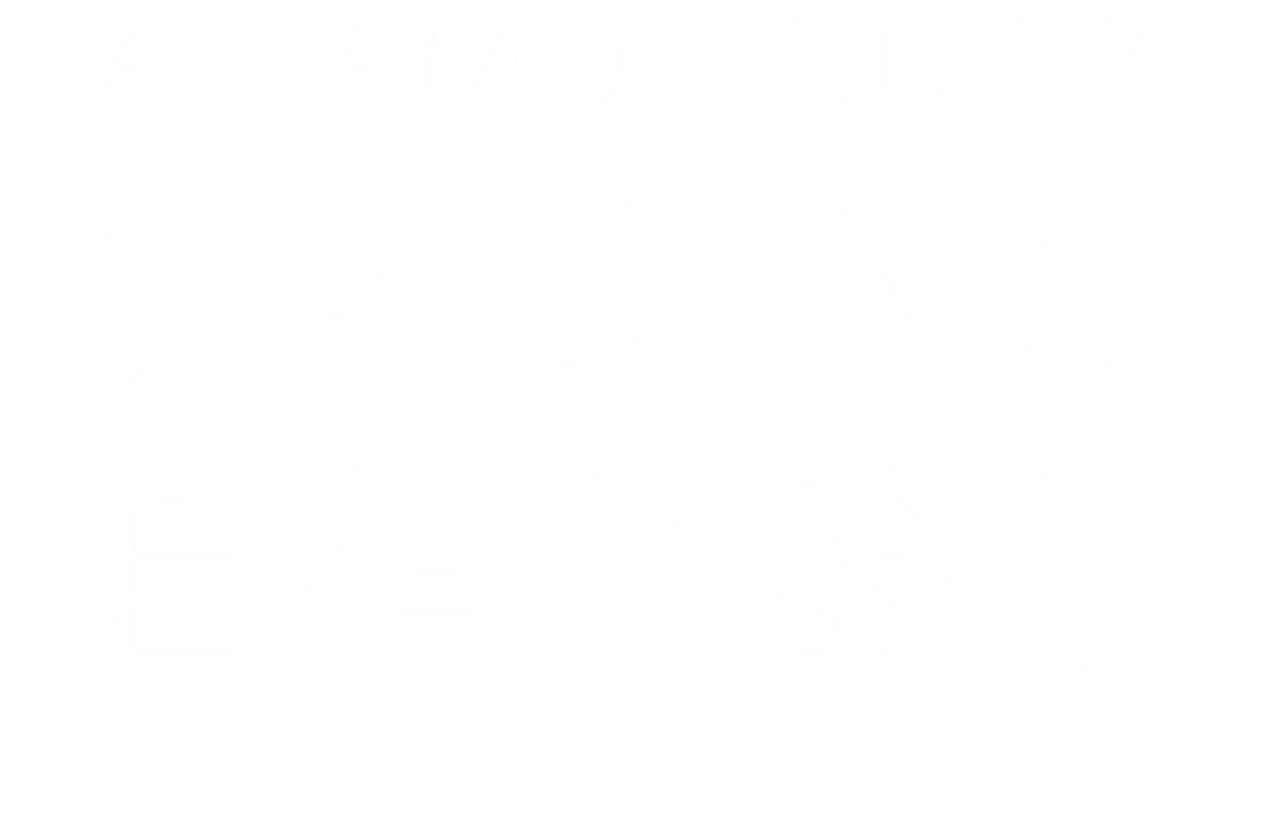 アイカムのポリシー